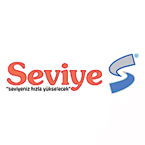 Seviye Koleji